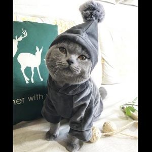 PomPom Hoodie